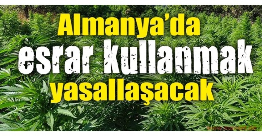 Almanya’da esrar kullanımı yasallaşıyor