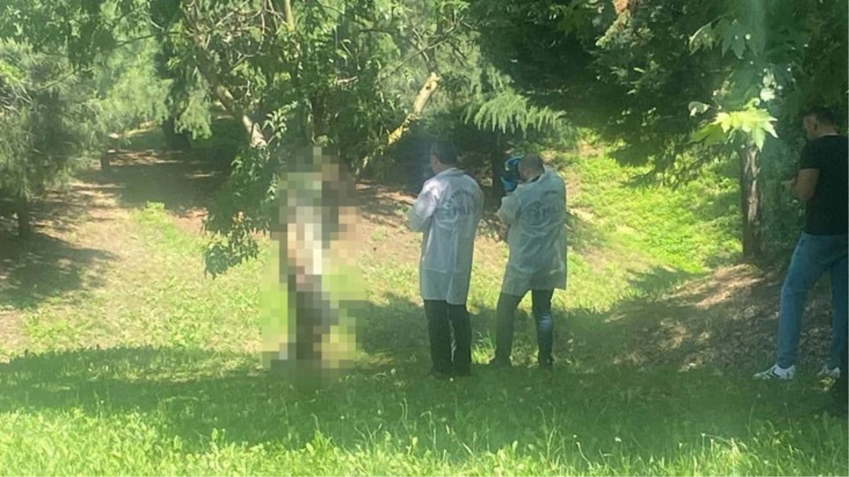 D100 Karayolunda şüpheli ölüm! Ayakkabı bağı ile asılı halde erkek cesedi bulundu