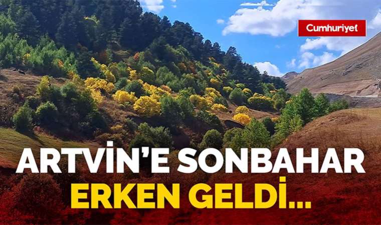 Şenal Sarıhan anlatıyor: Kadın, Cumhuriyet değerleri üzerinden noktalanamayacak haklar savaşımı...