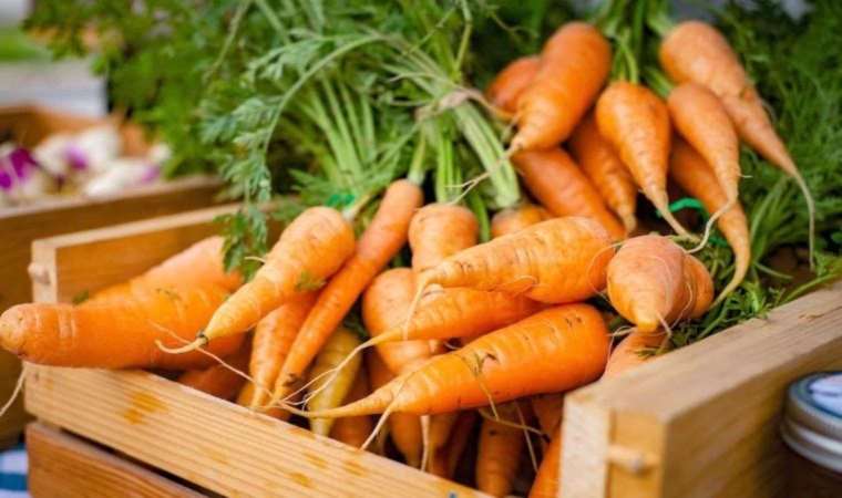 Havucun renginin turuncu olmasında etkili 3 çekinik gen keşfetti