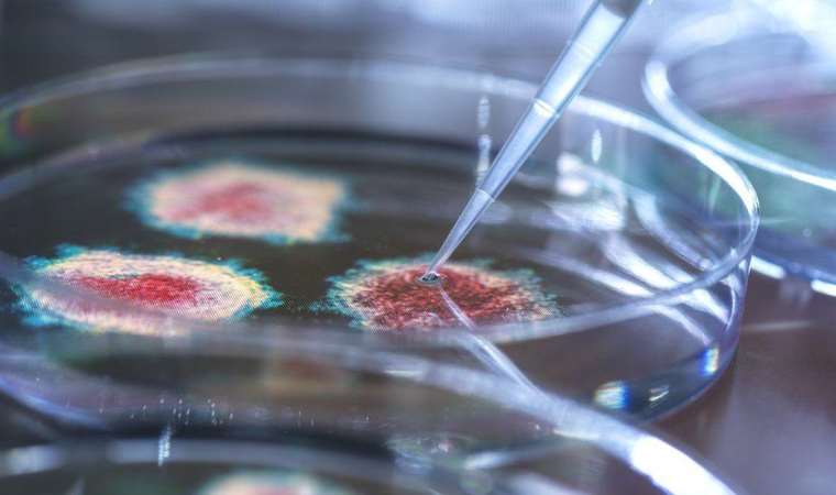 Mikropların var olduğuna inanmayan insanlar