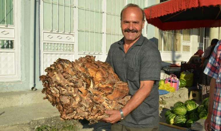 Tam 37 kilo… Kastamonu’da ormanda buldu!