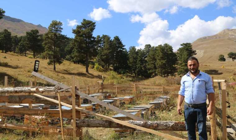 89 kişinin yaşadığı köyde keşfedildi: Türkiye’nin ilk ve tek yeşil balı!