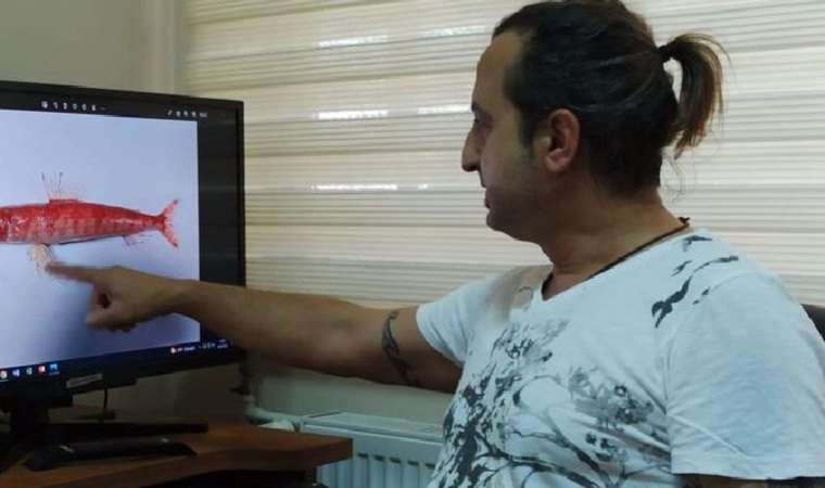 Akdeniz’de ilk kez görüldü! Ege’ye kadar yayılabilir…