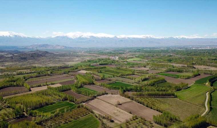 Miras sahipleri dikkat! İktidardan yeni düzenleme