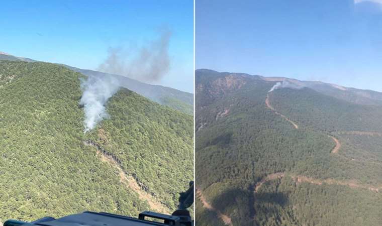 Amanos Dağları’nda yangın… Havadan ve karadan müdahale ediliyor!