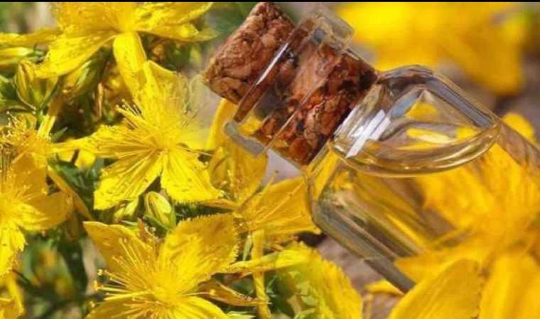 Her evde olması gerekiyor! 80 türü var, ama sadece 6’sı faydalı