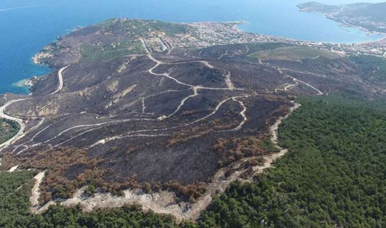 AB’nin verilerine göre Türkiye’de bu yıl 292 yangında 29 bin hektar alan kül oldu: 40 bin futbol sahası kadar kayıp var