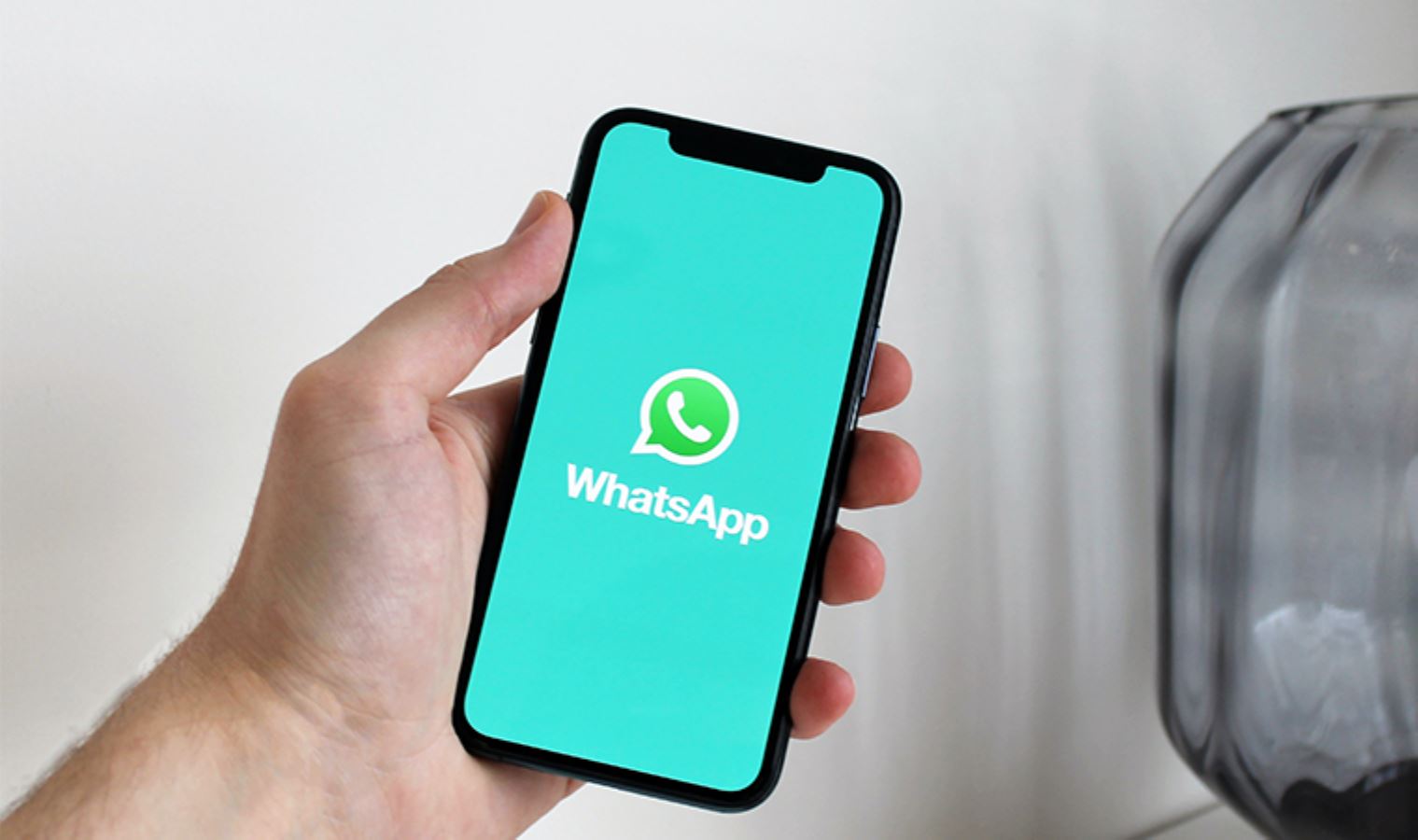 WhatsApp'ta anket nasıl oluşturulur?