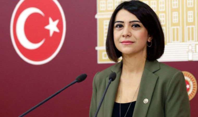 CHP’li Gamze Taşcıer: İktidarın kalkınma hedefleri 5 yıl sarkmış