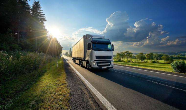 Ağaçlar ‘boş’a çalışmasın