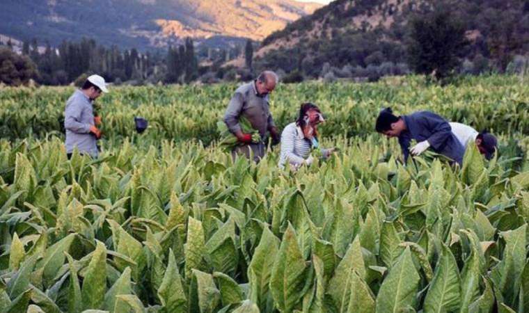 Çiftçinin ‘kışı’ başlıyor