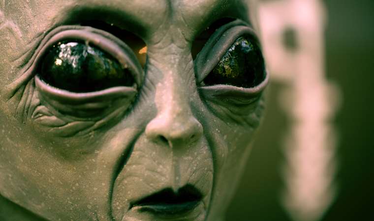 Amazon 1 milyon dolar ödemeye hazır; ancak tek bir şart var!