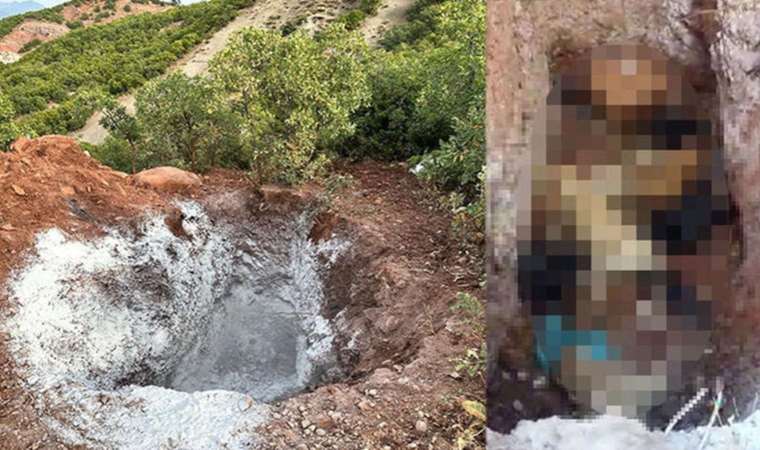 Köpeklerin öldürülerek çukura atıldığı iddiasında yeni gelişme