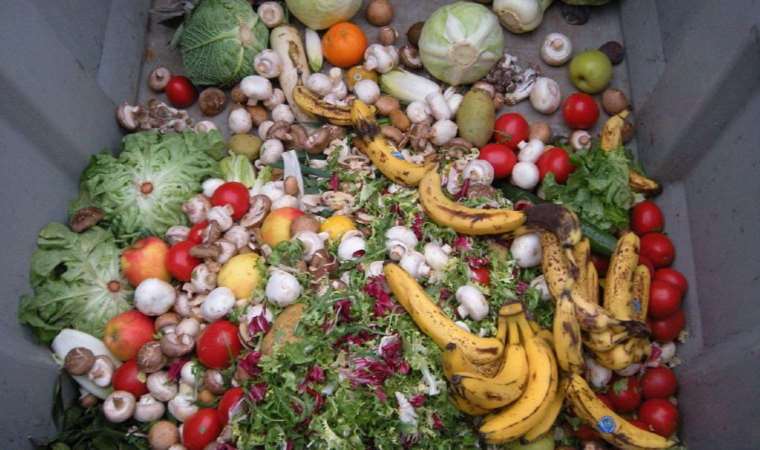 Gıda krizine karşı “Gıda Dostu Mutfağım” projesi başladı