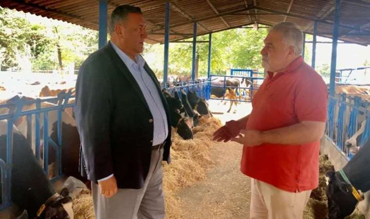 CHP’li Gürer: ‘Hayvancılıkta ithalde çözüm olmuyor’