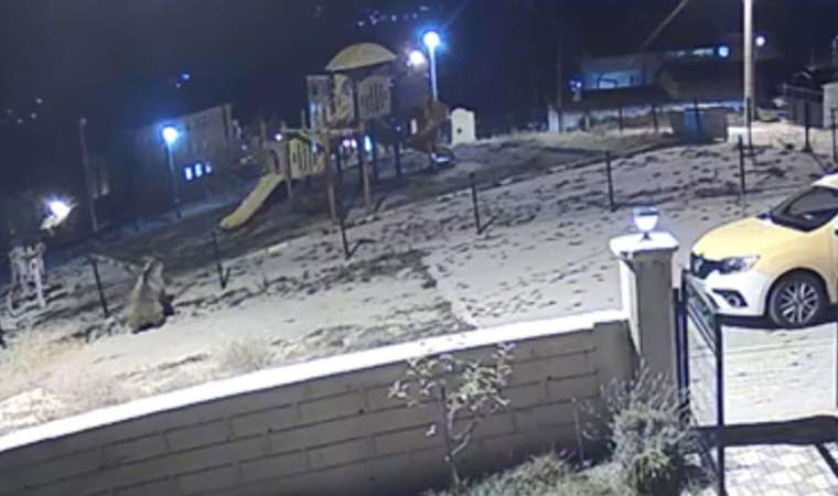 Kameralara yansıdı… Çocuk parkında ayı görüntülendi!