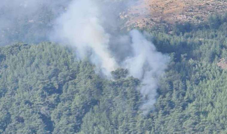 Muğla’da orman yangını
