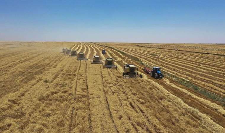 Kadın çiftçilere prim indirimi uygulanacak