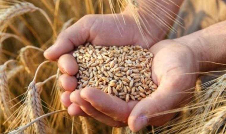 Bu yöntem 3500 yıl öncesine dayanıyor! Antik Mısır’da kadınlar hamile olduğunu bu ilginç yöntemle anlıyordu