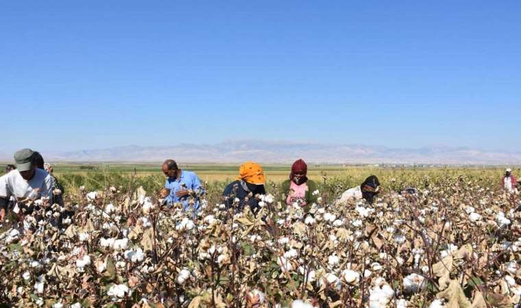 TZOB’dan desteklerin artırılması çağrısı