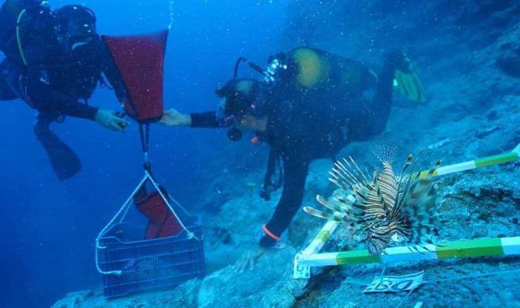 Dünyanın en eski batığında külçe külçe bulundu… Çıkarması 1 ay sürüyor