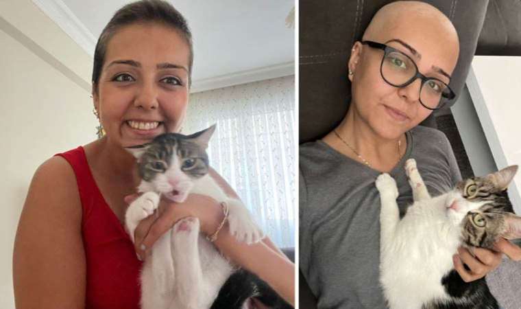 İzmir’de bir garip olay… Kedisi memesini tırmaladı, soluğu hastanede aldı: Kanser olduğunu öğrendi