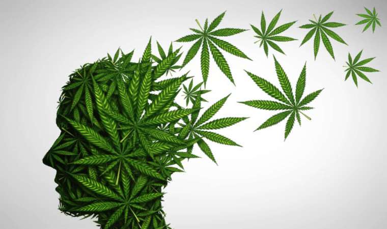 Hint keneviri tüketiminin etkileri nelerdir? Hint kenevirinin etkisi ne kadar sürer, kanda ne kadar kalır? Hint keneviri bulundurmak suç mudur, cezası nedir?