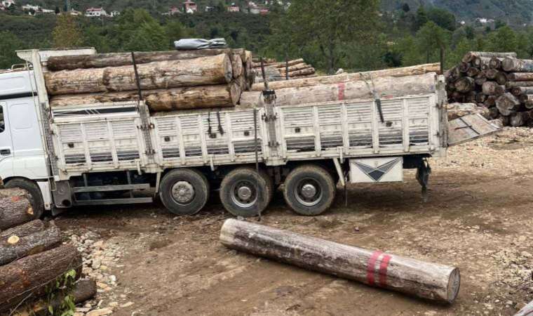 Acı olay… Halat açıldı, tomruğun altında kaldı!