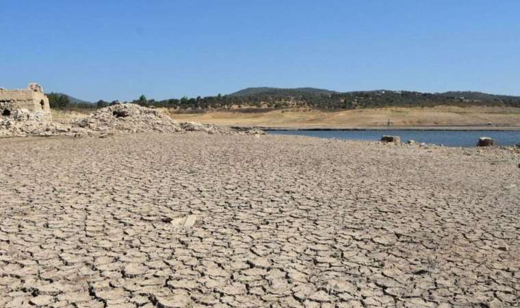 Barajlar kurumuştu… Bodrum’da su sorunu sürüyor, evlere tankerlerle su taşınıyor!