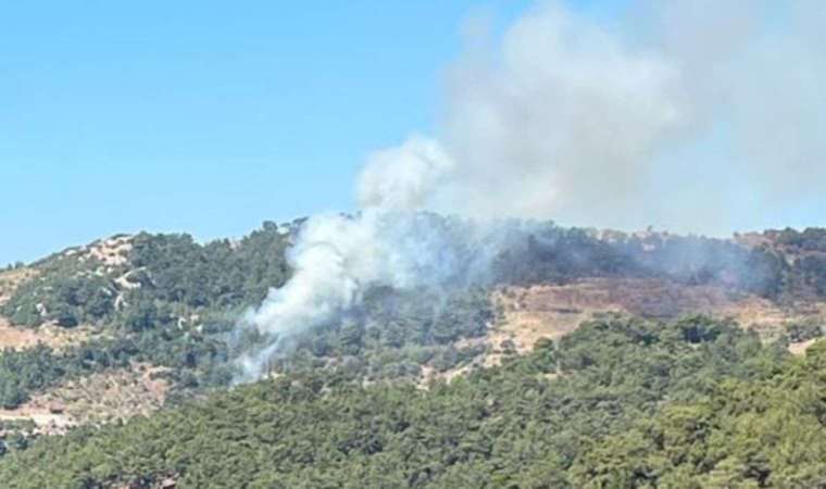 İzmir’de ormanlık alanda yangın