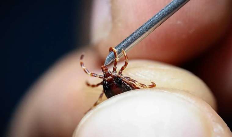 Yeni KKKA aşısı için klinik öncesi çalışmalara başlandı