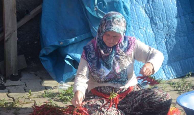 155 yıldır aynı tohumdan üretiliyor! Bu köyde herkes aynı tohumla ekiyor…