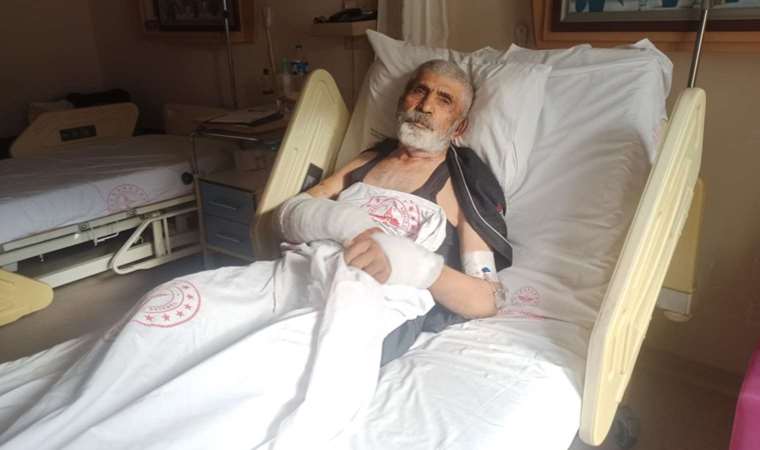 Ayının saldırdığı yaşlı adam korku dolu anları anlattı: ‘Ağzına elimi sokup dilini sıktım, zaman kazandım’