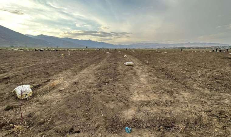 Toprağından bereket fışkırıyor:  Ton ton patates elde edildi