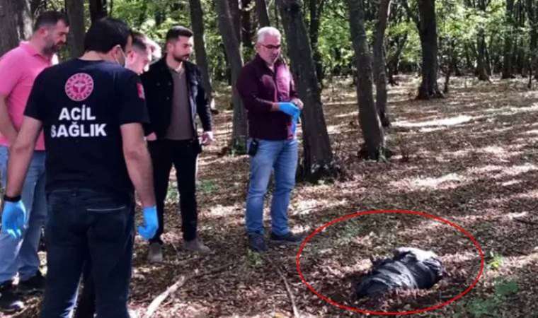 Bolu’da vahşet! Koli bantlarıyla bağlanmış poşette ölü köpek bulundu