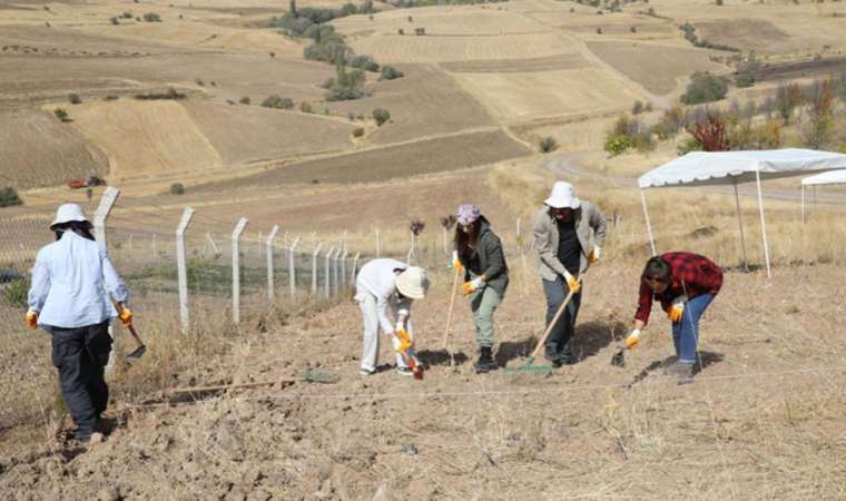 Ankara’da toplu mezar bulundu: Çalışmalar sonucu kesinlik kazanacak!