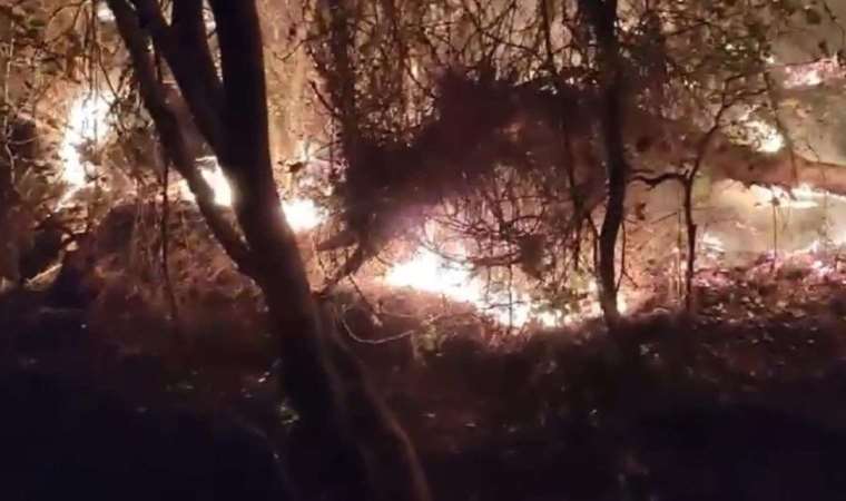 Marmaris’te orman yangını!