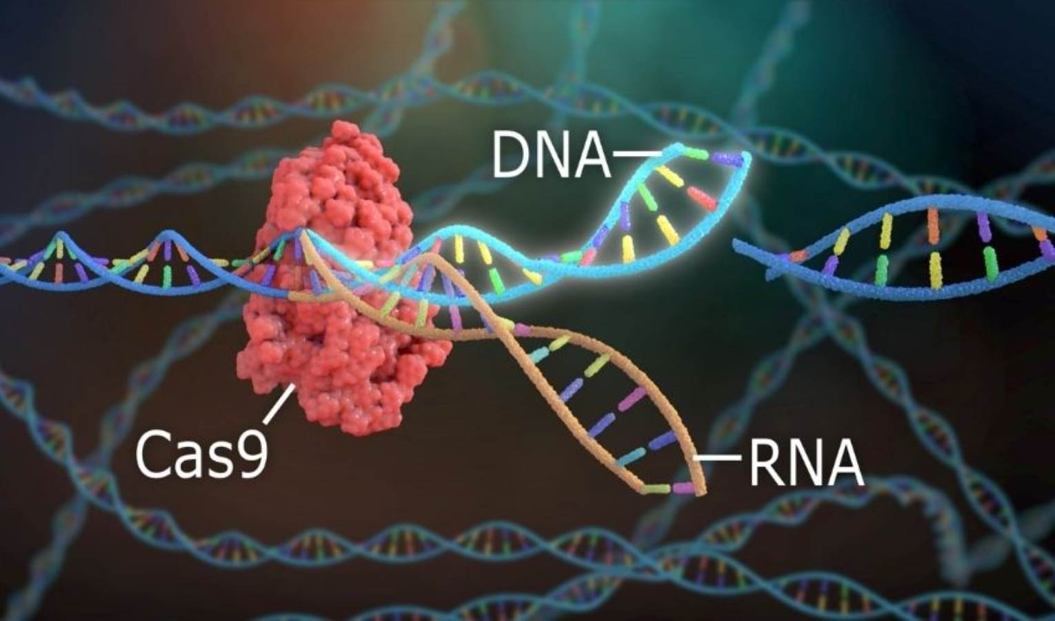 Dünyanın ilk CRISPR gen tedavisi onaylandı! Şimdi ne olacak?