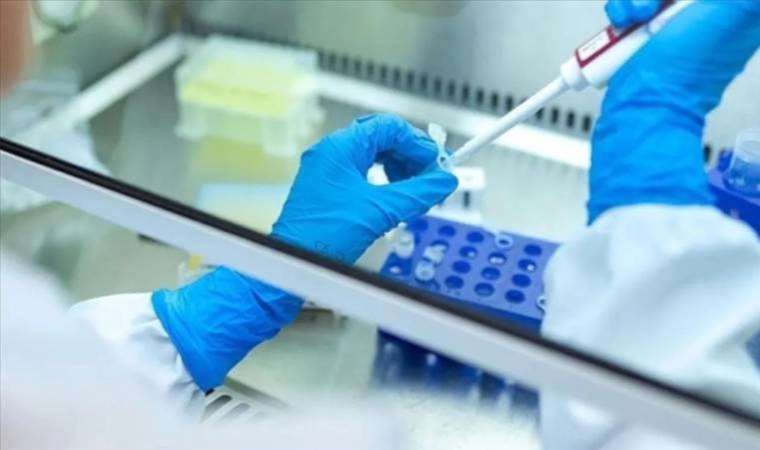 Erdoğan’ın ‘Hepatit A aşısını üreteceğiz’ sözlerine TTB’den yorum: Kamu eliyle yapılmalı