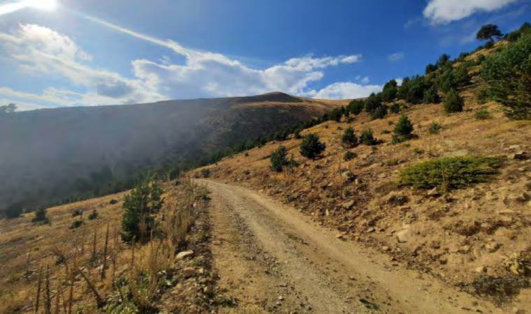 Koza Altın bu kez de Gümüşhane’deki kompleks maden için ÇED onayı aldı