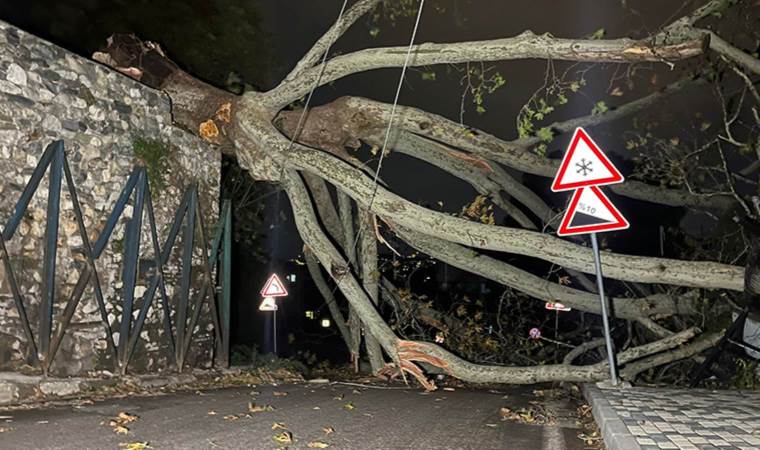 Bursa’yı lodos vurdu: Ağaçlar devrildi, uçan çatı parçası otomobilin üzerine düştü