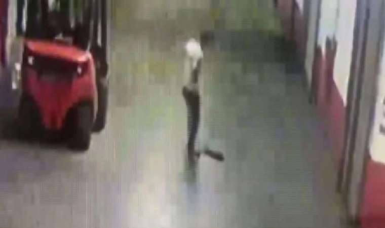 İstanbul’da poşete koyduğu kedileri tekmeleyerek öldürdü!