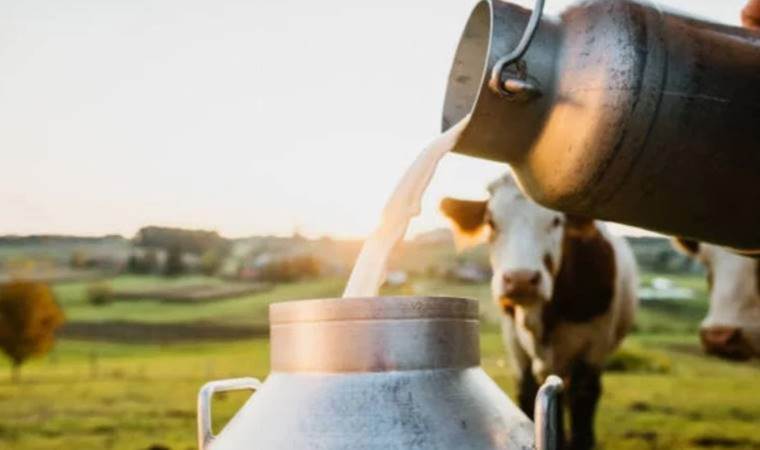 Çiğ süte zam geldi! Raflara yansıdı…