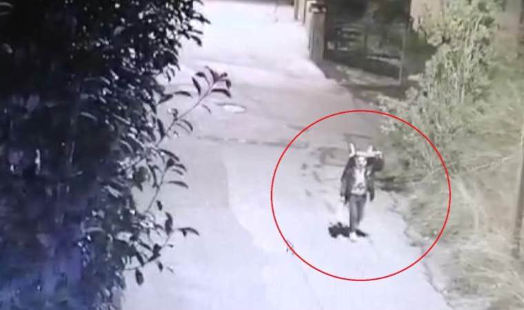 El arabası ile milyonluk hırsızlık kamerada… Villadan çelik kasa çaldı!