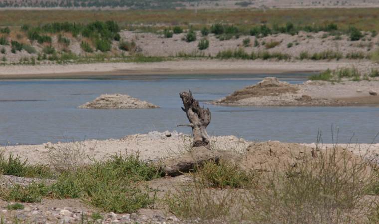 Kuraklığa karşı yapay zeka önerisi