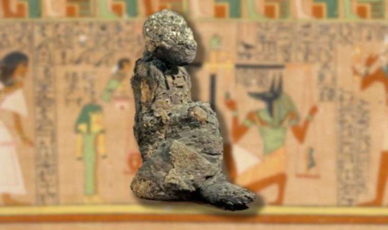 Antik Mısır’da mumyalanmış babunların gizemi çözüldü
