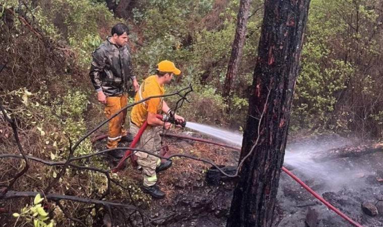 Marmaris’te yıldırım yangını