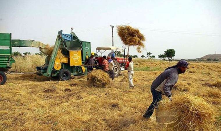 Tarım ÜFE’nin on iki aylık ortalaması yüzde 85’e dayandı