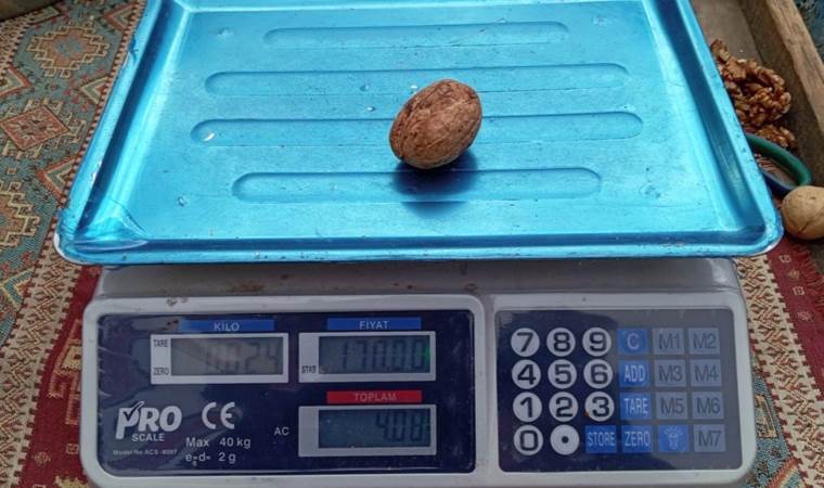 ‘Türkiye Yüzyılı’nda cevizin tanesi dudak uçuklattı!